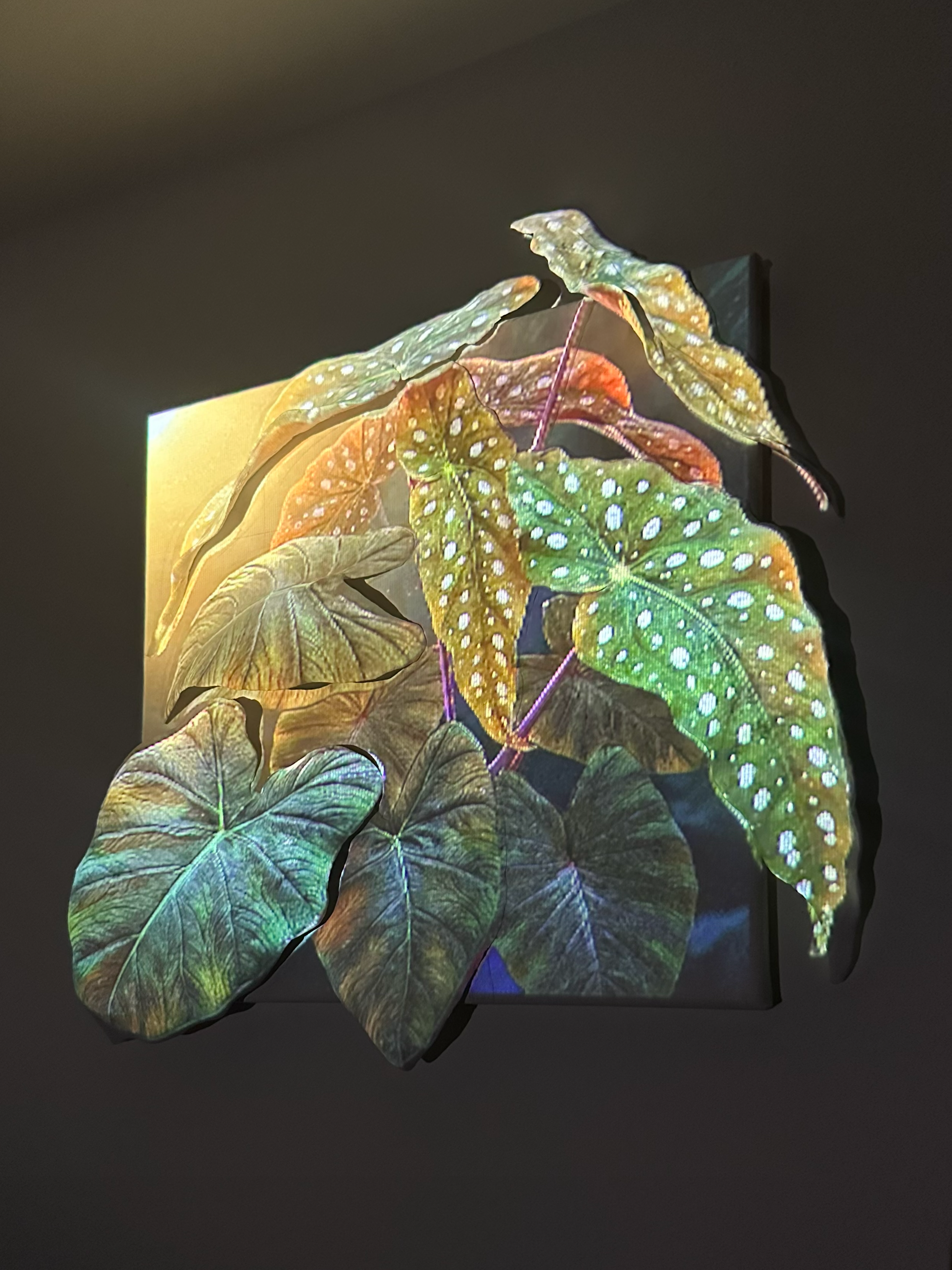 Plant Mapping warm lighting