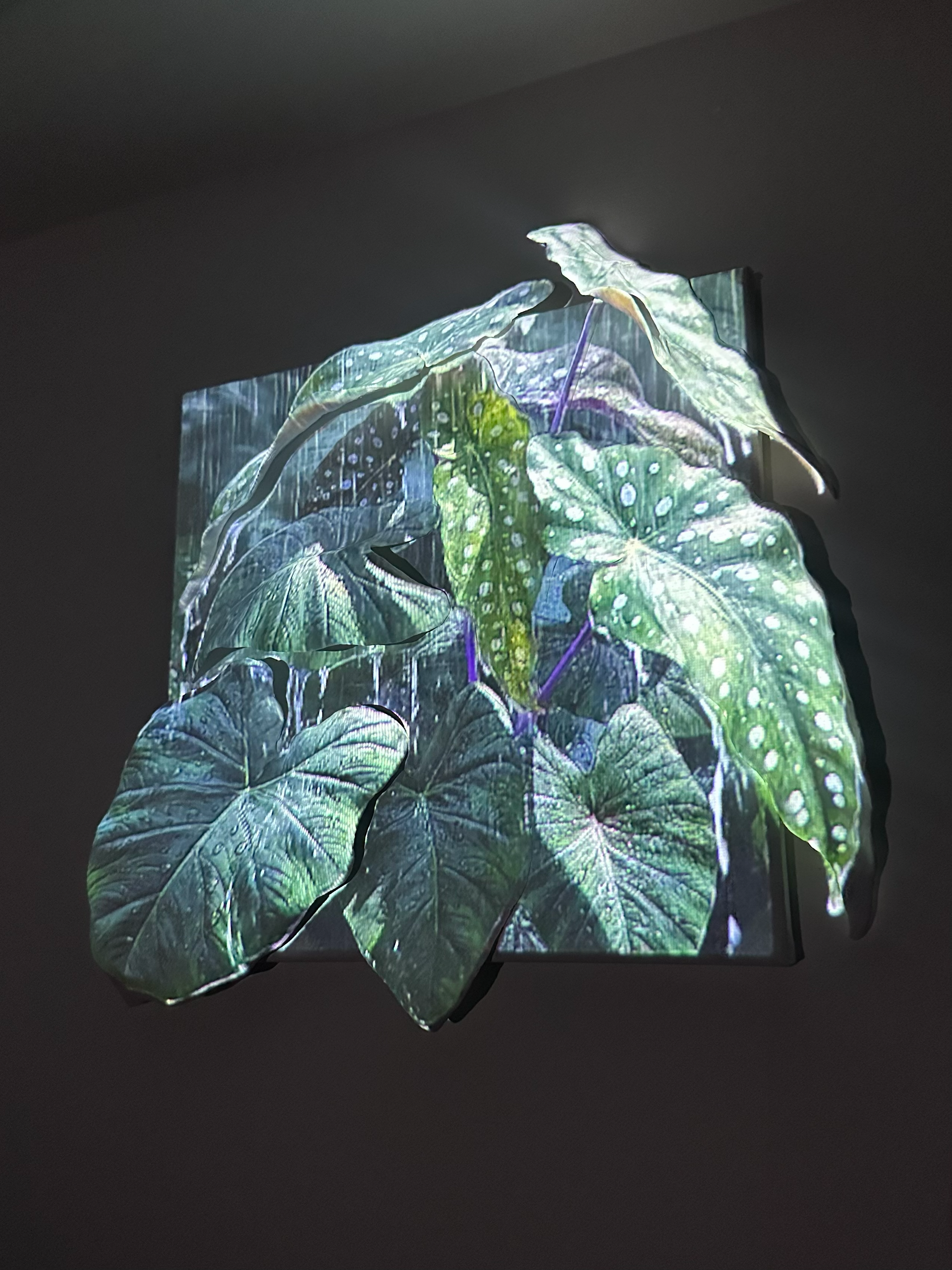 Plant Mapping green lighting